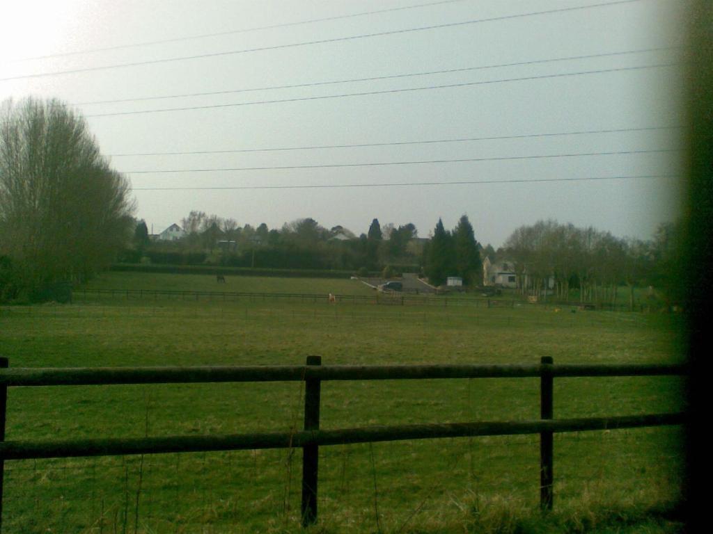 Homelea Bed And Breakfast Canterbury Esterno foto